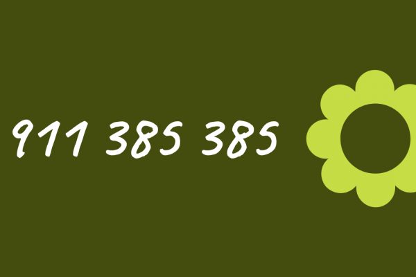 76765848