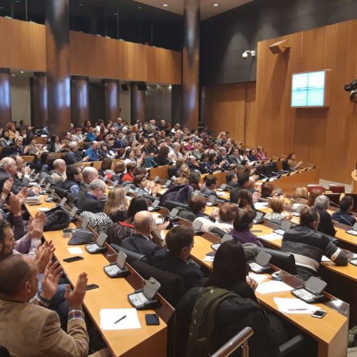 Congreso de los Diputados 22 de febrero 2019